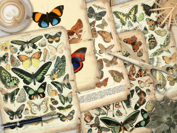 Download Ephemera Paper for Journal - Premium Resources
